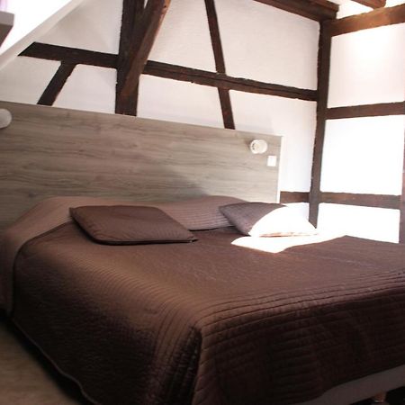 Appartement Les Violettes Colmar Kültér fotó