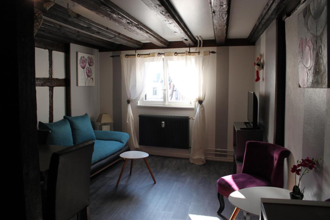 Appartement Les Violettes Colmar Kültér fotó