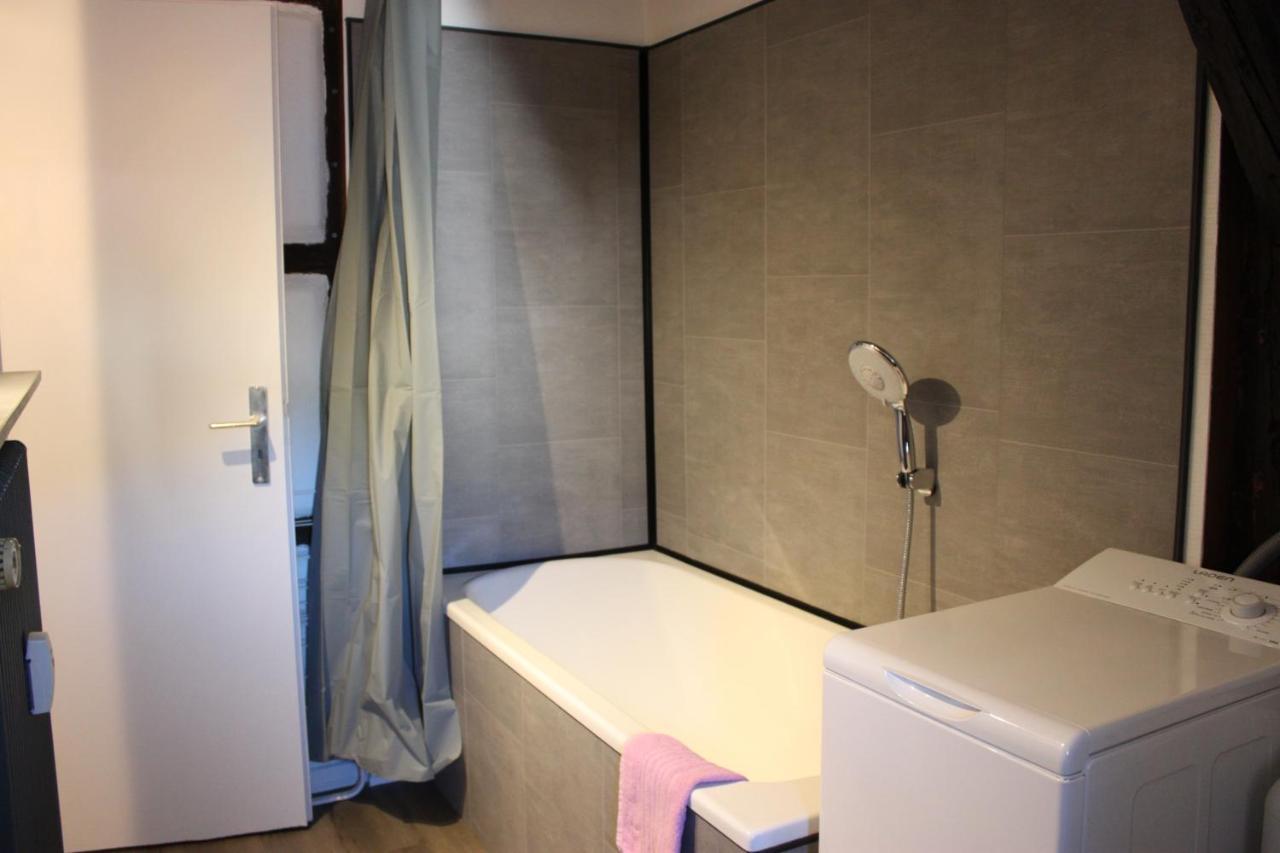 Appartement Les Violettes Colmar Kültér fotó
