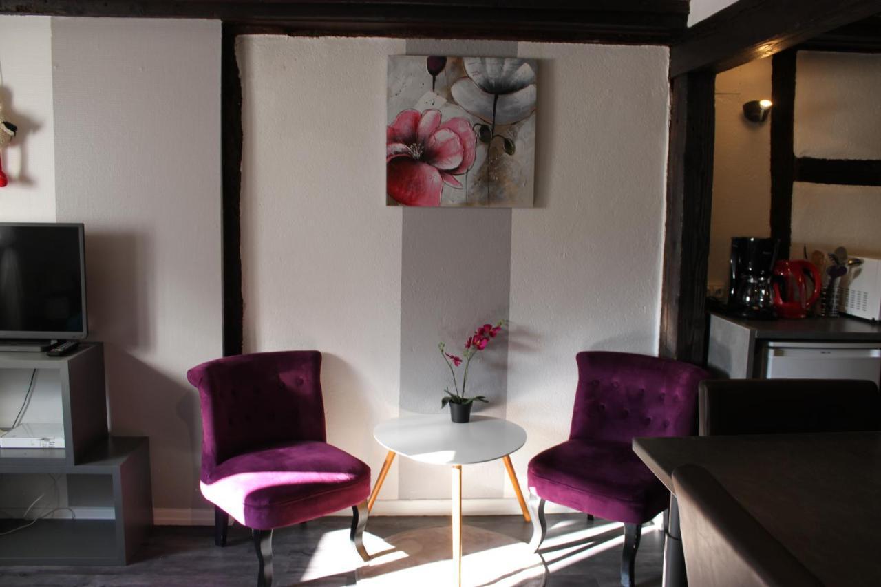 Appartement Les Violettes Colmar Kültér fotó