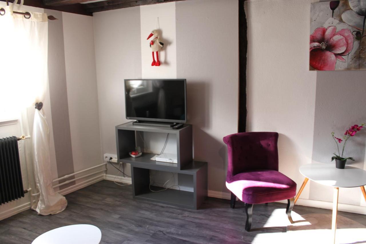 Appartement Les Violettes Colmar Kültér fotó